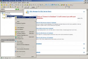 Langkah keempat (EMS SQL Manager Lite for SQL Server)